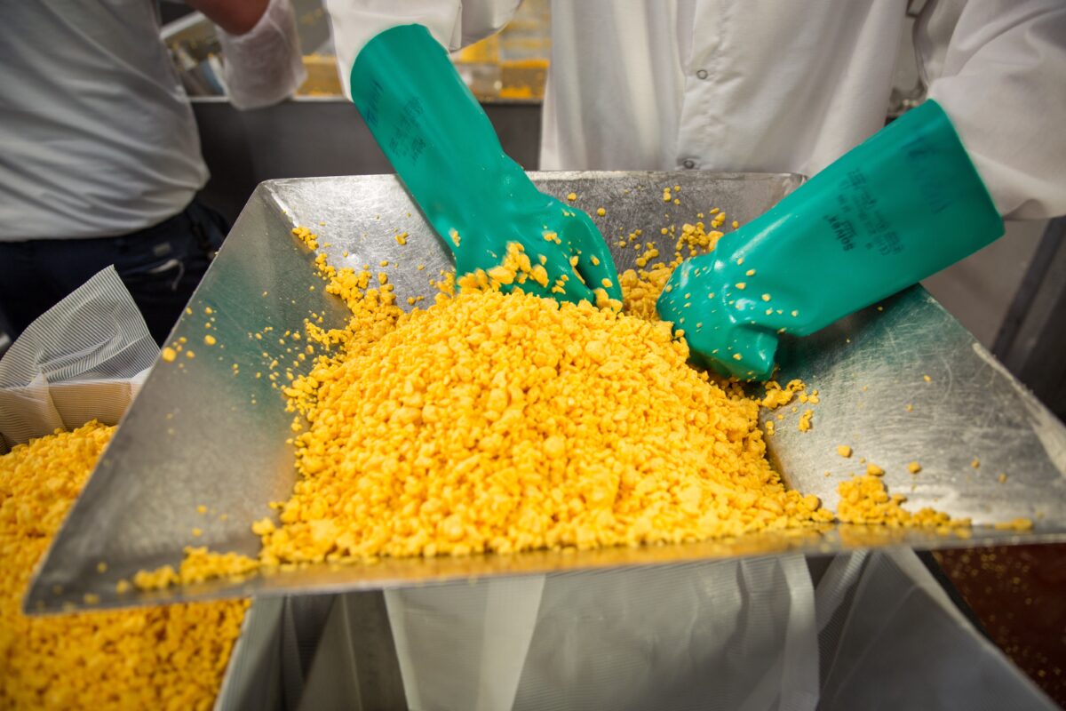 Utah County designers freshen up cheese destination in Beaver News